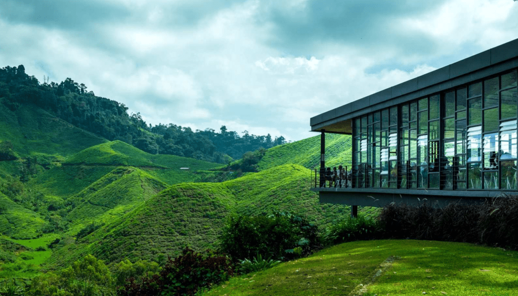 pemandangan dataran tinggi Cameron Highlands, Malaysia
